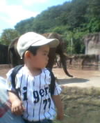 mobphoto