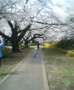 mobphoto