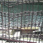 120429_1350 120429_1350~01.JPG