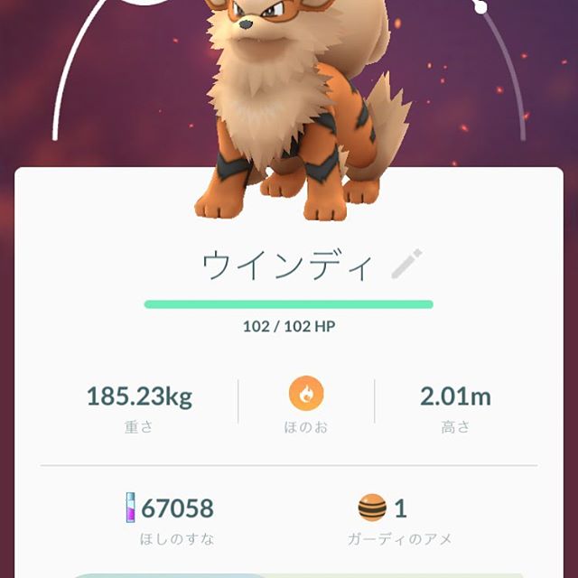 Rie S Blog せがれによると 伝説のポケモン とのこと ウインディを連れて歩いた結果 ーー